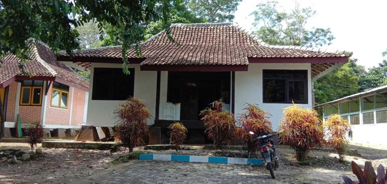 Sukamade Adventure Tour Package Bed & Breakfast Banyuwangi  Eksteriør bilde
